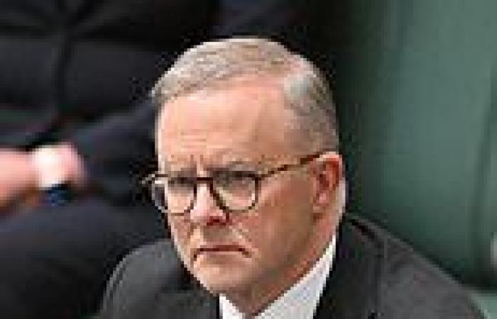 Tuesday 27 September 2022 03:53 AM Anthony Albanese wants Australian schools to teach massacres on Aboriginals by ... trends now