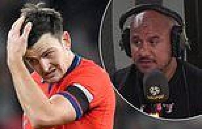 sport news England: Gabby Agbonlahor praises under-siege Harry Maguire for NOT quitting ... trends now