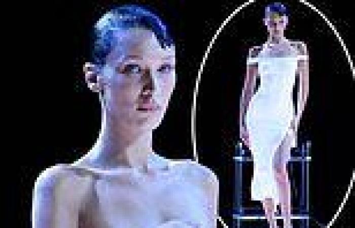 Friday 30 September 2022 11:24 PM Bella Hadid takes to the runway nude before her dress is SPRAYED ON in an ... trends now