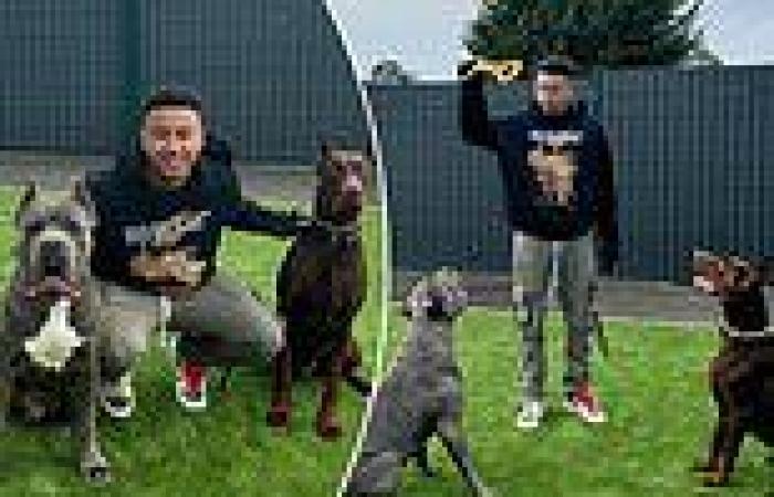 sport news Nottingham Forest star Jesse Lingard accused of animal cruelty after sharing ... trends now