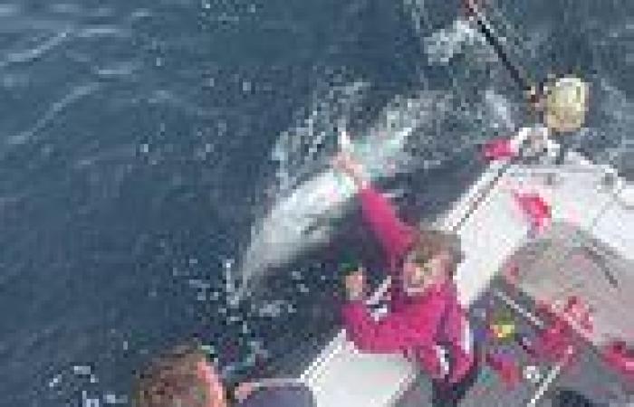 Saturday 1 October 2022 06:09 PM Nine-year-old schoolgirl lands 400lb bluefin tuna that is worth £70,000 trends now
