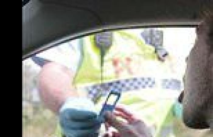 Monday 3 October 2022 03:09 AM Medicinal cannabis Australia: driver passes roadside drug test trends now