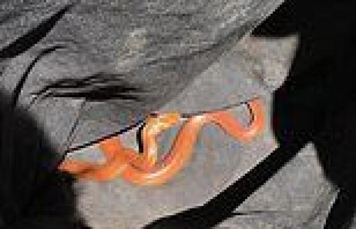Tuesday 4 October 2022 02:51 AM Aussie snake catcher captures rare ORANGE eastern brown snake in Bundaberg, ... trends now