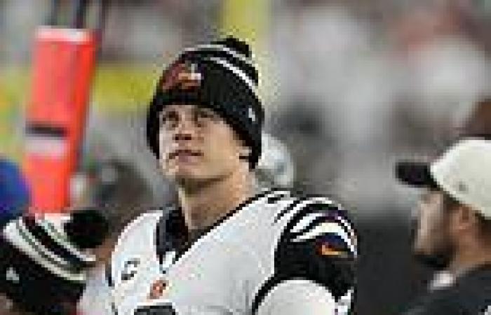 sport news Bengals QB Joe Burrow says concussions, other injuries are part and parcel of ... trends now