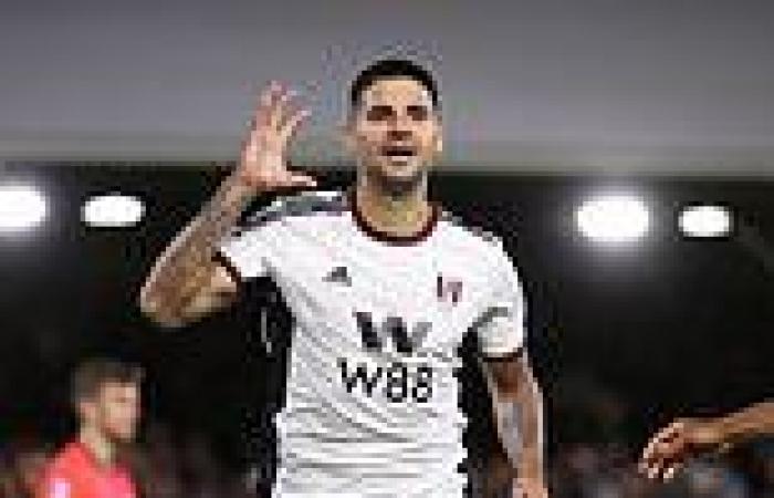 sport news Aleksander Mitrovic in race against time to be fit for Fulham's clash with West ... trends now