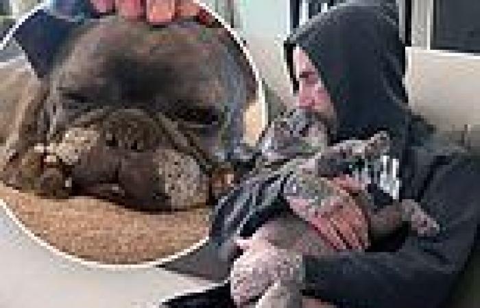 Wednesday 2 November 2022 11:55 PM Travis Barker mourns his beloved French Bulldog Blue who was 'the best dog': ... trends now