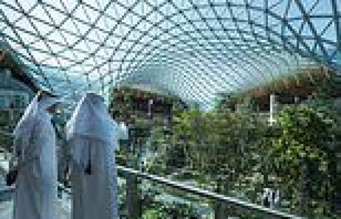 sport news Qatar unveils mini forest INSIDE new airport ahead of World Cup trends now