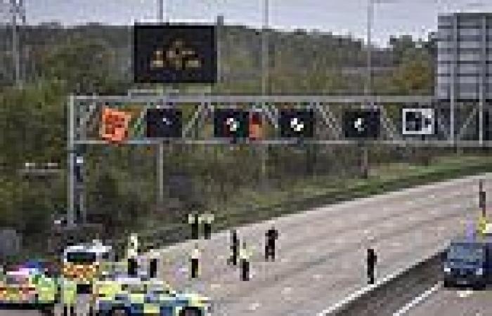 Thursday 10 November 2022 10:44 PM As lone protester forces the M25 to shut and seventeen officers stand around, ... trends now