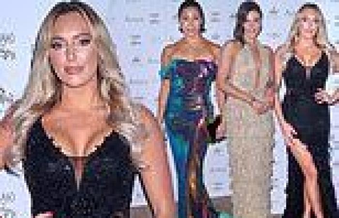 Saturday 12 November 2022 12:59 AM Amber Turner, Karen Hauer and Faye Brookes lead stars at Chain of Hope Gala Ball trends now