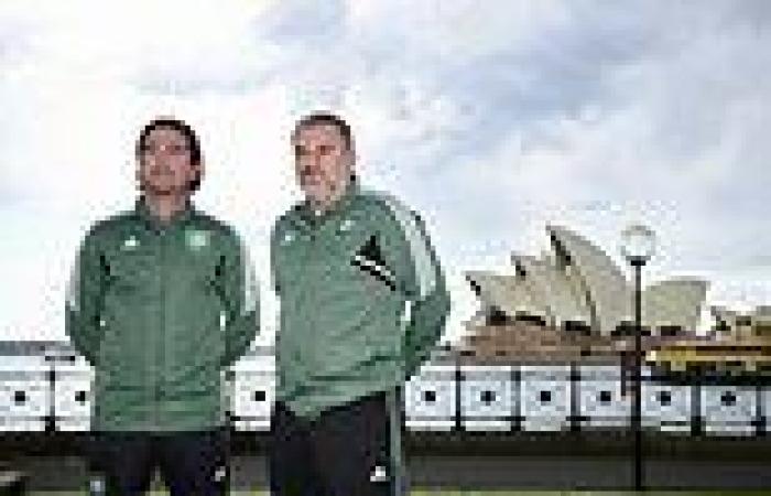 sport news Ange Postecoglou and Harry Kewell back under-fire Socceroos star to shine in ... trends now