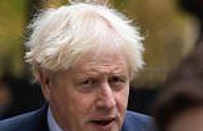 Saturday 19 November 2022 11:56 PM Make Boris Johnson Tory chairman, say Red Wall MPs trends now