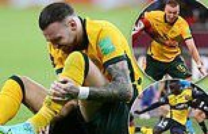 sport news Craig Foster on how Socceroos can cover for injured Martin Boyle at 2022 FIFA ... trends now