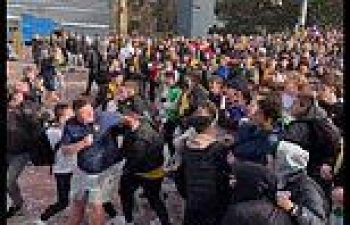 Tuesday 22 November 2022 11:02 PM 'Sore loser' Australian soccer fans spit on France supporters as wild brawl ... trends now