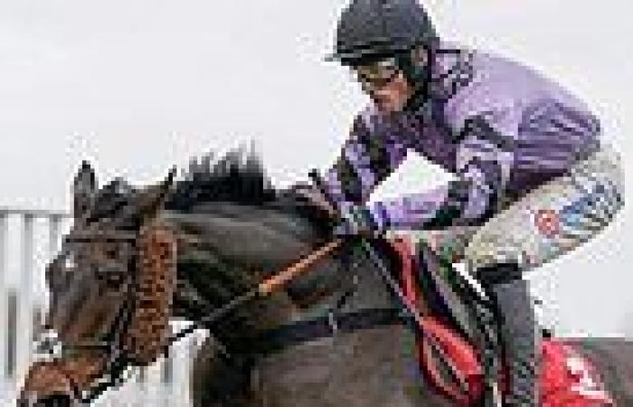sport news Robin Goodfellow's racing tips: Best bets for Wednesday, November 23 trends now