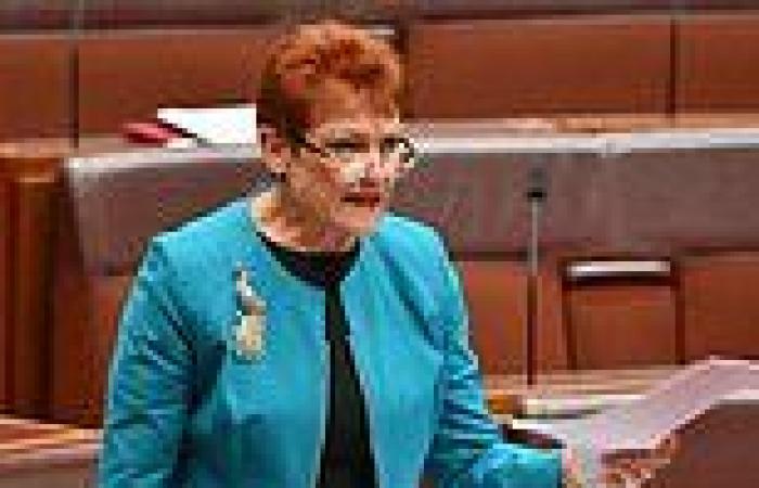 Wednesday 23 November 2022 09:14 AM Pauline Hanson bill banning transgender issues from schools attacked by Greens' ... trends now