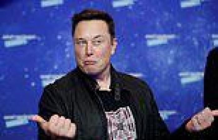 Thursday 24 November 2022 08:47 PM Elon Musk announces 'amnesty' for suspended Twitter accounts  trends now