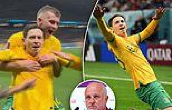 sport news Socceroos scorer Craig Goodwin reveals his strike went against coach's orders ... trends now