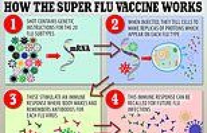 Thursday 24 November 2022 10:53 PM Flu-turistic: Scientists create super-influenza vaccine that can fight 20 ... trends now