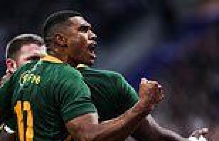 sport news SHAUN EDWARDS gives his guide to beating the Springboks ahead of England's ... trends now