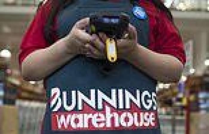 Friday 25 November 2022 08:02 AM Bunnings will make hundreds of employees redundant in coming months trends now
