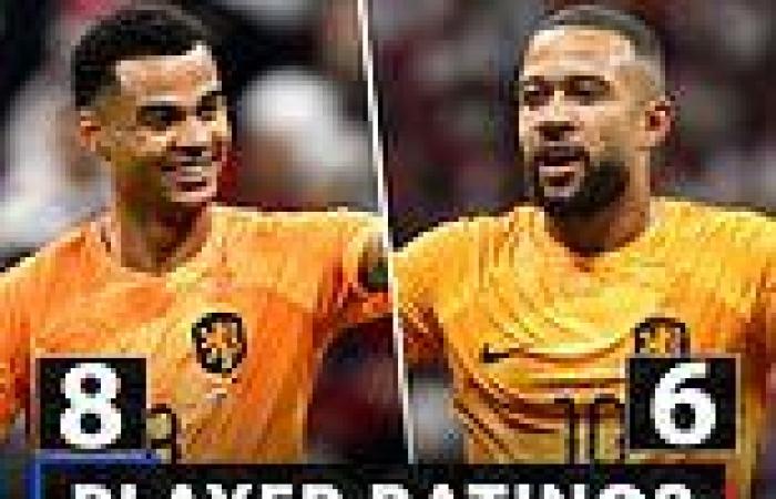 sport news Holland vs Qatar PLAYER RATINGS: Cody Gakpo is the hottest property at the ... trends now
