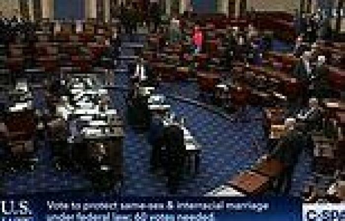 BREAKING NEWS: Senate PASSES vote to make same-sex marriage federal law  trends now