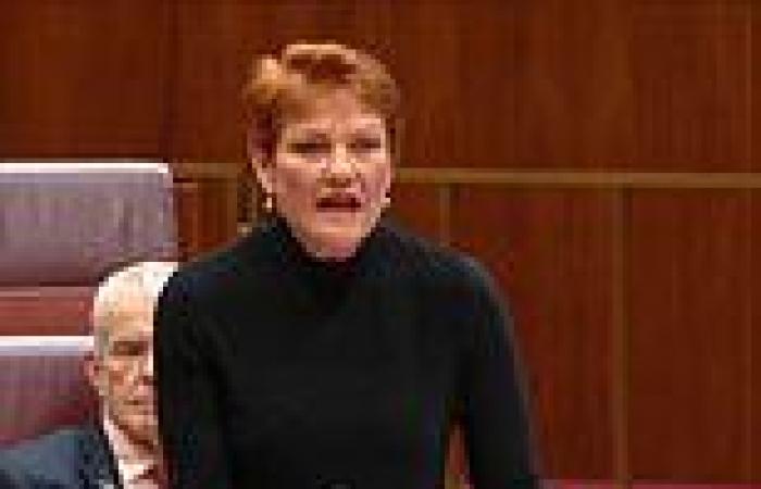 Pauline Hanson SHRIEKS at rugby star turned MP David Pocock - giving him a rude ... trends now