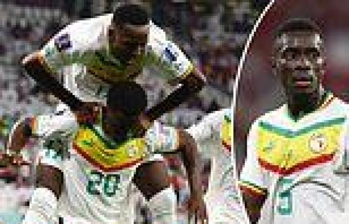 sport news Idrissa Gana Gueye warns England that Senegal have 'no limits' and that are ... trends now