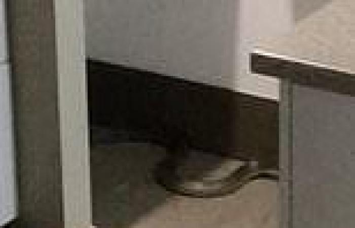 Brown snake found in kitchen of  suburban home: Merriwa NSW trends now