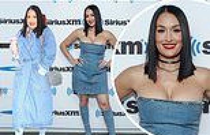 Nikki Bella puts on a busty display in triple denim outfit as she promotes her ... trends now