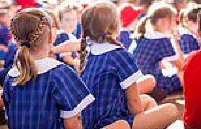 NAPLAN results: Major education system overhaul after grammar, punctuation, ... trends now