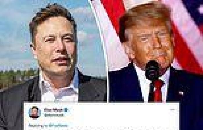 Elon Musk responds to Donald Trump's calls to 'TERMINATE' the Constitution ... trends now