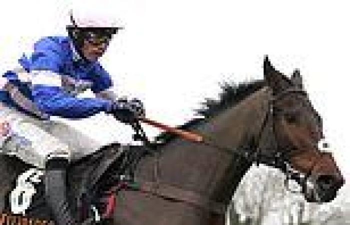sport news Robin Goodfellow's racing tips: Best bets for Tuesday, December 6 trends now