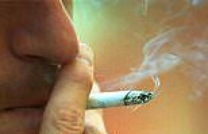 One in 10 Australians is still a daily smoker with 1.9 million lighting up a ... trends now