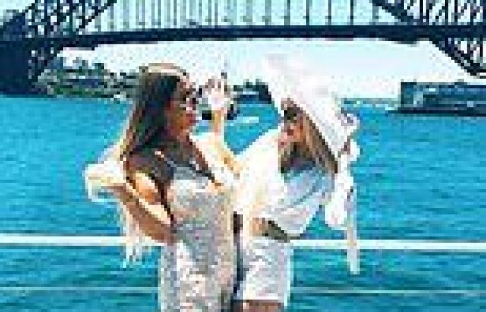 Sydney Harbour party boats face crackdown on noise by rich residents in ... trends now