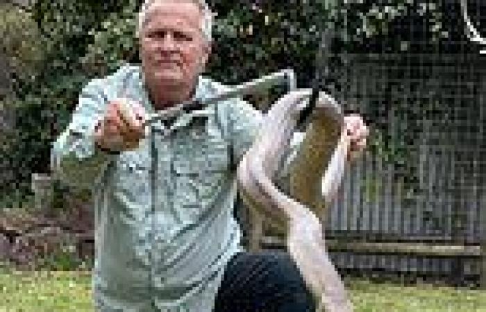 Enormous snake is found lurking in the backyard of an Australian home. trends now