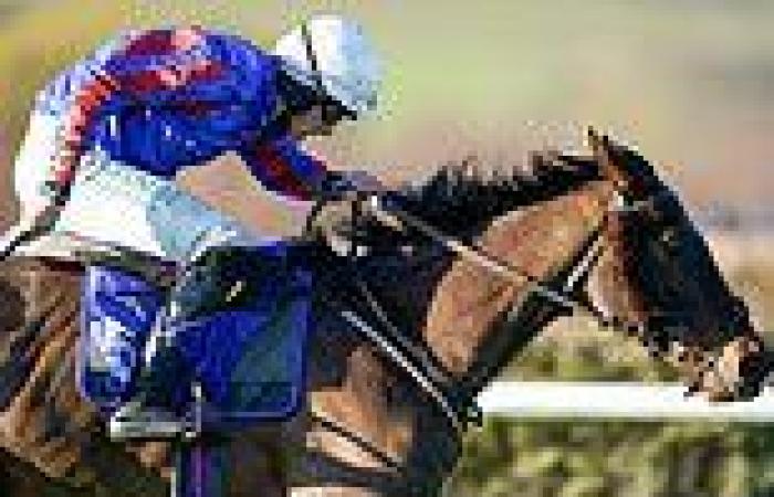 sport news Robin Goodfellow's racing tips: Best bets for Friday, December 9 trends now