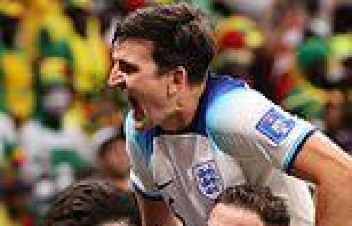 sport news World Cup: France admit they fear Harry Maguire's headers ahead of ... trends now