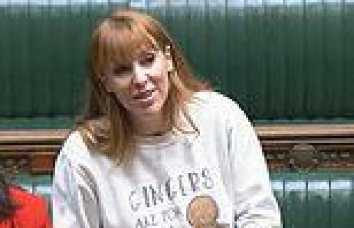 Labour's Rayner dons 'gingers not just for Xmas' jumper - as ALL MPs told to ... trends now