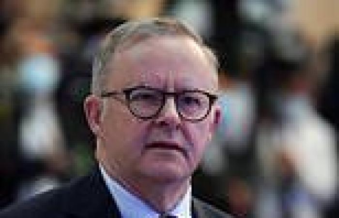 Anthony Albanese unveils national cabinet plan to cut power prices, recalls ... trends now