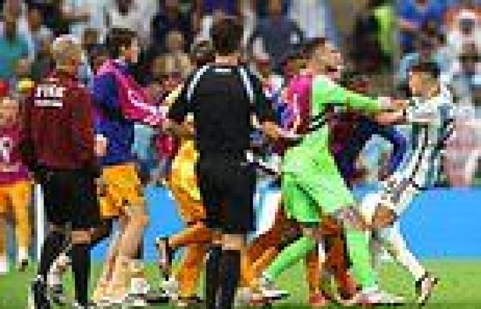 sport news Argentina's Leandro Paredes causes a huge brawl in their World Cup game against ... trends now