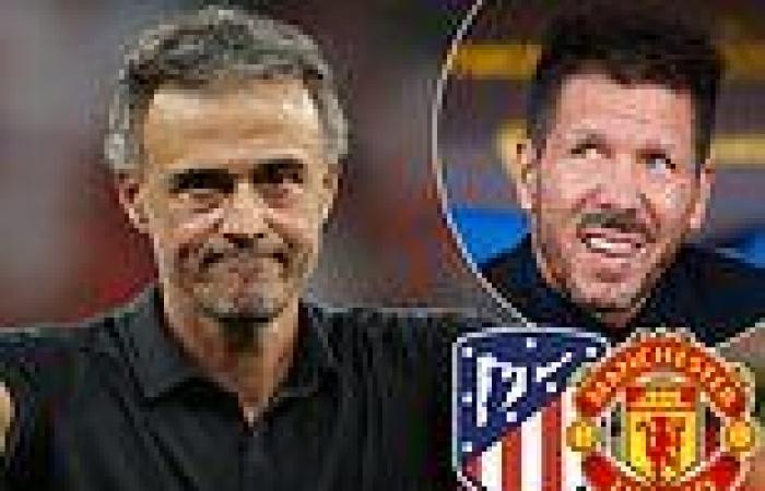 sport news Luis Enrique 'on Atletico Madrid shortlist to replace Diego Simeone' after ... trends now