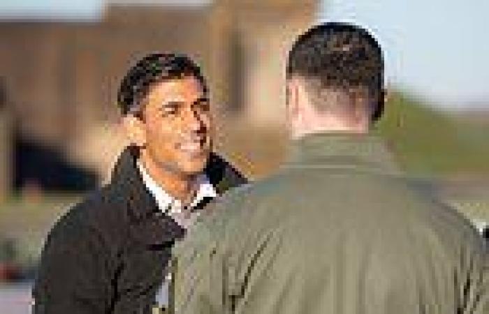 Rishi Sunak hails the RAF fighter of the future in new defence partnership with ... trends now