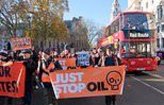 Just Stop Oil claim 150 followers jailed are 'POLITICAL PRISONERS' - as ... trends now