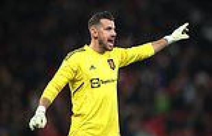 sport news Newcastle RECALL on-loan goalkeeper Martin Dubravka from top four rivals ... trends now
