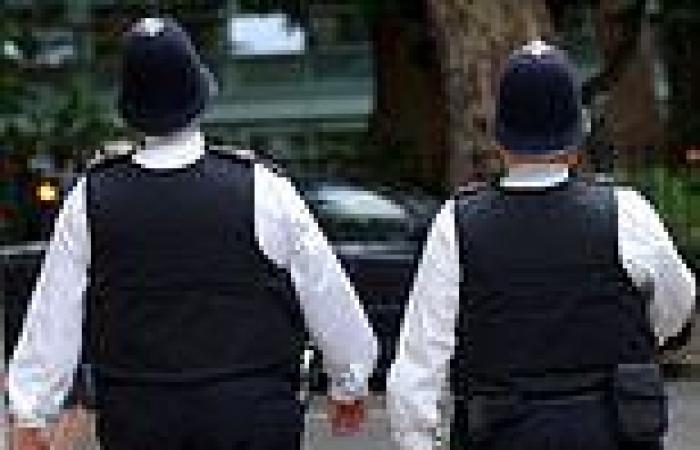 Thousands of Met Police officers were 'undeployable' due to health issues trends now