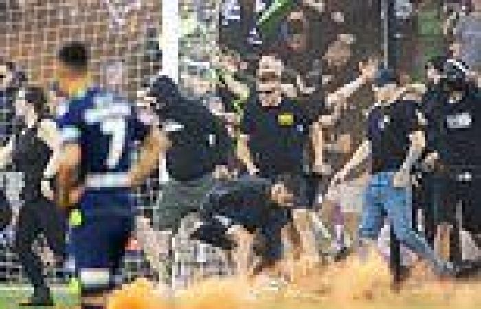 sport news Security staff who tried to stop A-League pitch invasion 'aren't trained' to ... trends now