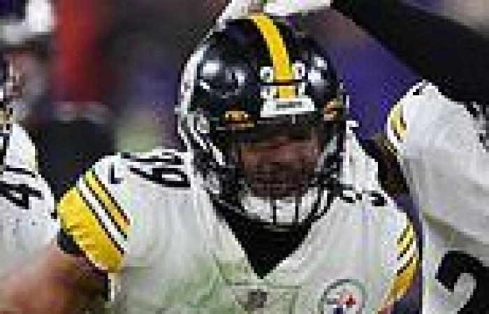 sport news Pittsburgh Steelers keep playoff hopes alive with 16-13 rivalry win over ... trends now