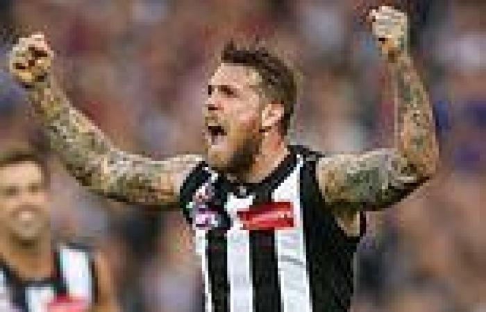 sport news Dane Swan discovers what he thinks are 'tampons for MEN' - as angry fans slam ... trends now