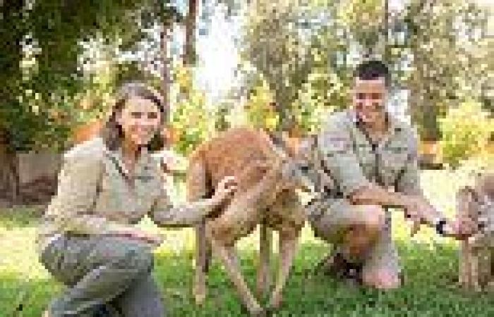 Bindi Irwin sparks more pregnancy rumours as she encourages her fans to have a ... trends now